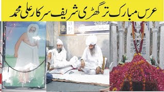 Tarigri Shareef Ali Muhammad Sarkar Urs Sailkot