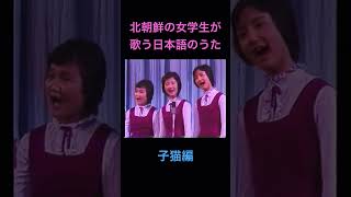 北朝鮮の女学生が歌う日本語の歌　子猫編