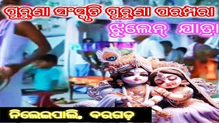 Jhulen Jatra| odia culture|Kirtan |#trending #kirtan |Nileipali।#viral Nileipali kirtan