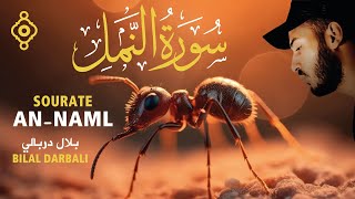 سورة النمل🐜 كاملة تلاوة هادئة 😴 - بلال دربالي Sourate An-Naml - Bilal Darbali Récitation Relaxante l