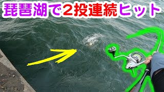 大潮ボウズで終わりたくないので夕マズメに行ったら2投連続バスヒット♪in琵琶湖南湖