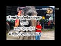 តើសត្វដំរីបង្រៀនអ្វីខ្លះដល់អ្នក