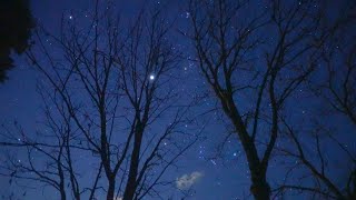 阿智村園原の星空 滝見台の栃の木と星空（SONYα7SⅢリアルタイム動画）