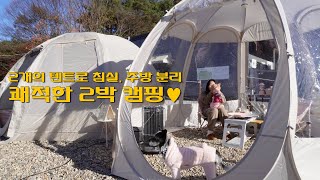 텐트 2개 이용해서 침실 따로 주방 따로 쾌적한 2박 보내기✨ / 폴라리스 p1 TPU, 메쉬, 풀플라이 / 애견동반캠핑 / 애견캠핑장 / 아산 캠프정감