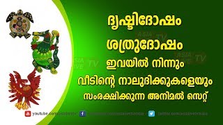 ദൃഷ്ടിദോഷം ശത്രുദോഷം ഇവയിൽനിന്നും വീടിനെ സംരക്ഷിക്കുന്ന അനിമൽ സെറ്റ് 9745094905 |  feng shui animals