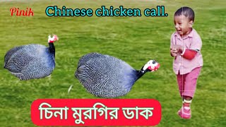 চিনা মুরগির ডাক।। Chinese chicken call.