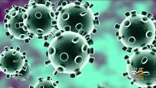 4 People Isolated For Coronavirus Testing In New York State