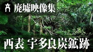 がじゅまるに包まれた廃坑『宇多良炭鉱跡地』【廃墟映像集　MATRIMONIO】