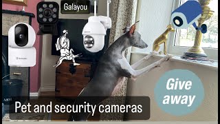 Galayou Pet, CCTV \u0026 Campervan, Camera Review \u0026 Giveaway