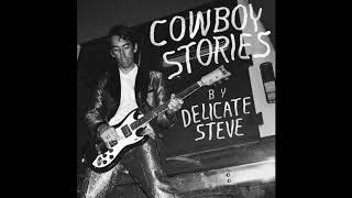 Delicate Steve - Tattered