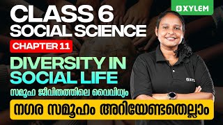 Class 6 Social Science | Chapter 11 - Diversity In Social Life- സമൂഹ ജീവിതത്തിലെ വൈവിധ്യം | Xylem