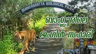 ബന്നേർഘട്ട ജംഗിൾ സഫാരി /Bannerghata jungle safari