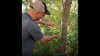Foraging with a wild ingredients chef in Burlington County, N.J.