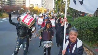 2015.12.05「…NO NUKES 反原発★1205 銀座大行進」: デモ (2)【14/19】