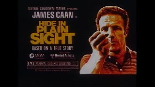 Hide In Plain Sight (1980) TV Spots