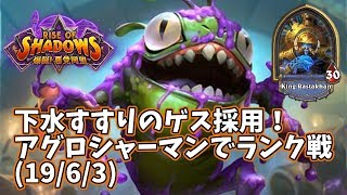 【ハースストーン】下水すすりのゲス採用！アグロシャーマンでランク戦(19/6/3)