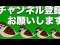 娘の血液型が僕たち夫婦から生まれない血液型でした。スズメの涙