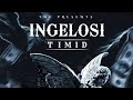 TIMID - Ingelosi (Prod. Samukeliso Ngobese) Official Visualizer