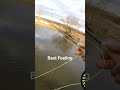 first fish of 2024. dry fly strike **chef s kiss** flyfishing newbrunswick brooktrout