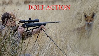 Bolt Action