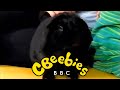 CBeebies Continuity - Wednesday 3rd April 2002