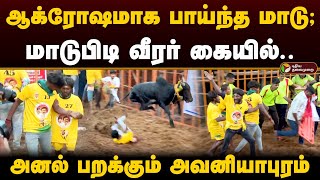 ஆக்ரோஷமாக பாய்ந்த மாடு; மாடுபிடி வீரர் கையில்; அனல்பறக்கும் அவனியாபுரம் | Jallikattu | Madurai | PTD