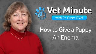 Vet Minute: How to Give an Enema to a Puppy