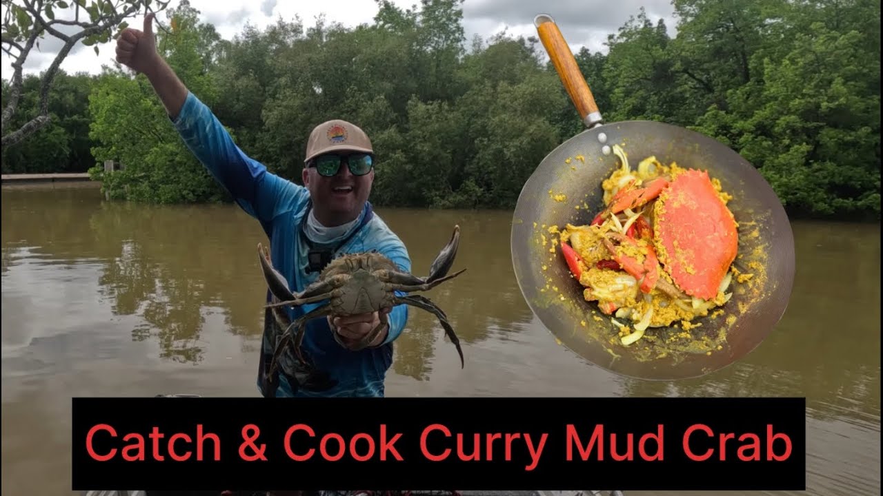 Catch Cook Curry Mud Crab Youtube