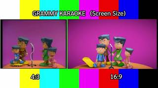 Grammy Karaoke (ขนาดจอ/Screen Size)