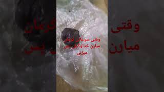 خدایا کجا کار میلنگه دعاهای من از تح دل نیس یا شما نمیشنوی