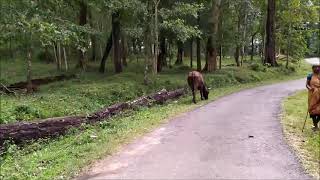 മറക്കാനാവാത്ത ഒരുപാട് ഓർമ്മകൾ സമ്മാനിച്ച ഒരു വയനാടൻ യാത്ര