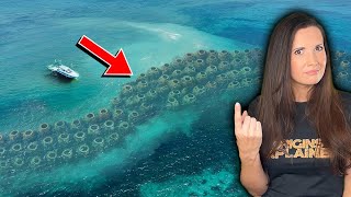 This Bizarre Ocean Discovery Could Completely CHANGE Our Future