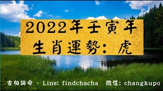 古柏論命- 2022年壬寅年生肖運勢分享 – 虎