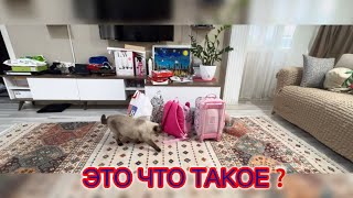 ‼️ЧТО ЭТО ТАКОЕ в моей комнате?😳 Настя Приехала с Чемоданом и Сумками😱@MAMALENA