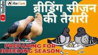 Breeding Season Ki Tayari/ Preparing For Breeding Season/ ब्रीडिंग सीजन की तैयारी