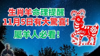 命理提醒：生肖羊，11月5日與眾不同，你這天轉運，四方福氣加持，財喜降臨！快看發生什麼？ #2024年生肖羊運勢 #2024年生肖羊運程 #2024年屬羊運勢 #屬羊運程