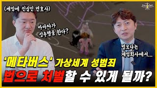 메타버스에서의 성범죄는 과연 법으로 처벌할 수 있을까?! feat.정통망개정