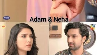 Adam X Neha Vm || Jeena Jeena song || Precious Creations