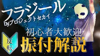 【ダンス練習用　振付解説】フラジール ダンスレクチャー動画  踊ってみた 【反転】