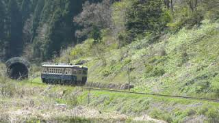 キハ52-125　大糸線　根知～頸城大野