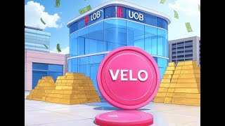 Trillions to be TOKENIZED - VELO | The Deeper Dive