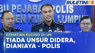 KEMATIAN KUCING DI UM | Polis Sahkan Angkara Serangan Haiwan Liar