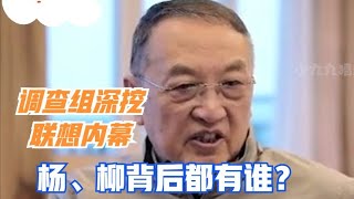 调查组深挖联想内幕，科技公司怎样变身金融帝国，杨柳背后是谁？