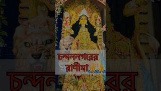 চন্দননগরের রাণীমা 😍 | Tematha Rani Maa | Chandannagar Jagadhatri Puja 2023 | #shorts #youtubeshorts