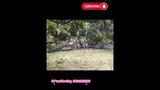 Batticaloa Thanamunai 20 Purches land for sale           call 0706833187