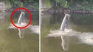 What They Captured in a River Shocked the Whole World