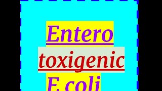 Enterotoxigenic E coli, Travelers Diarrhea,