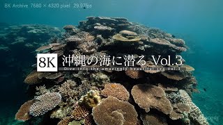 [8K footage] Dive into the amazingly beautiful sea Vol.3【沖縄の海に潜る Vol.3_8K】