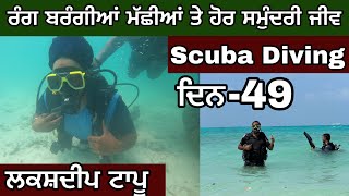 Scuba Diving। ਡੂੰਘੇ ਸਮੁੰਦਰਾਂ ਦੇ ਜੀਵ ਜੰਤੂ। ਸਿਰਾ ਮਹੌਲ ।Lakshadweep Travel। Ghudda @devkuraiwala7573