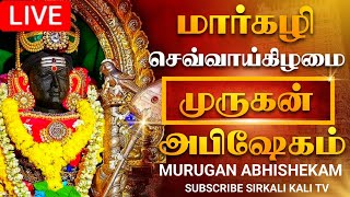 🔴LIVE மார்கழி செவ்வாய்க்கிழமை முருகன் அபிஷேக காட்சி பாருங்க | MURUGAN Abhishekam #muruga #abhishekam